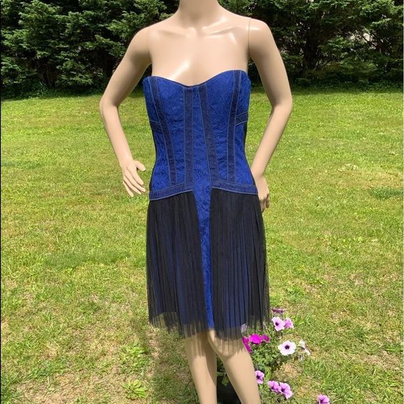 NWT $338 BCBGMAXAZRIA | Galia |  Strapless Fringe Hem Lace Corset Dress in Blue - Picture 5 of 16
